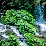 Lombok Waterfalls