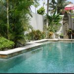 Swimming Pool at DHM Surf and Stay Accommodation Lombok