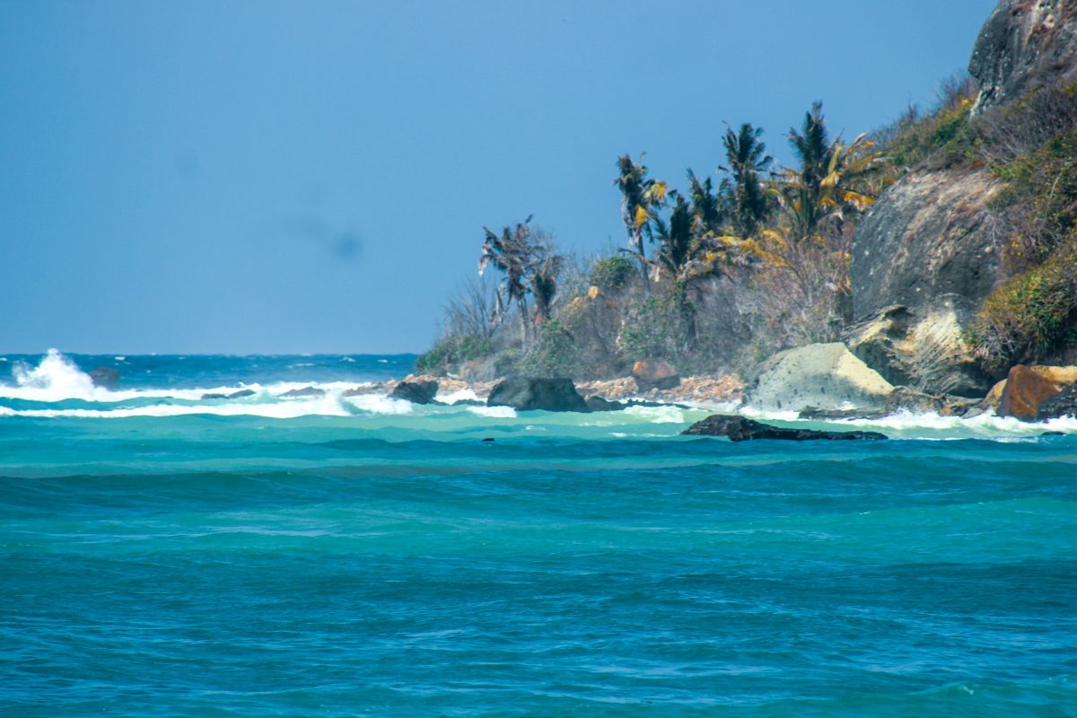 Surf