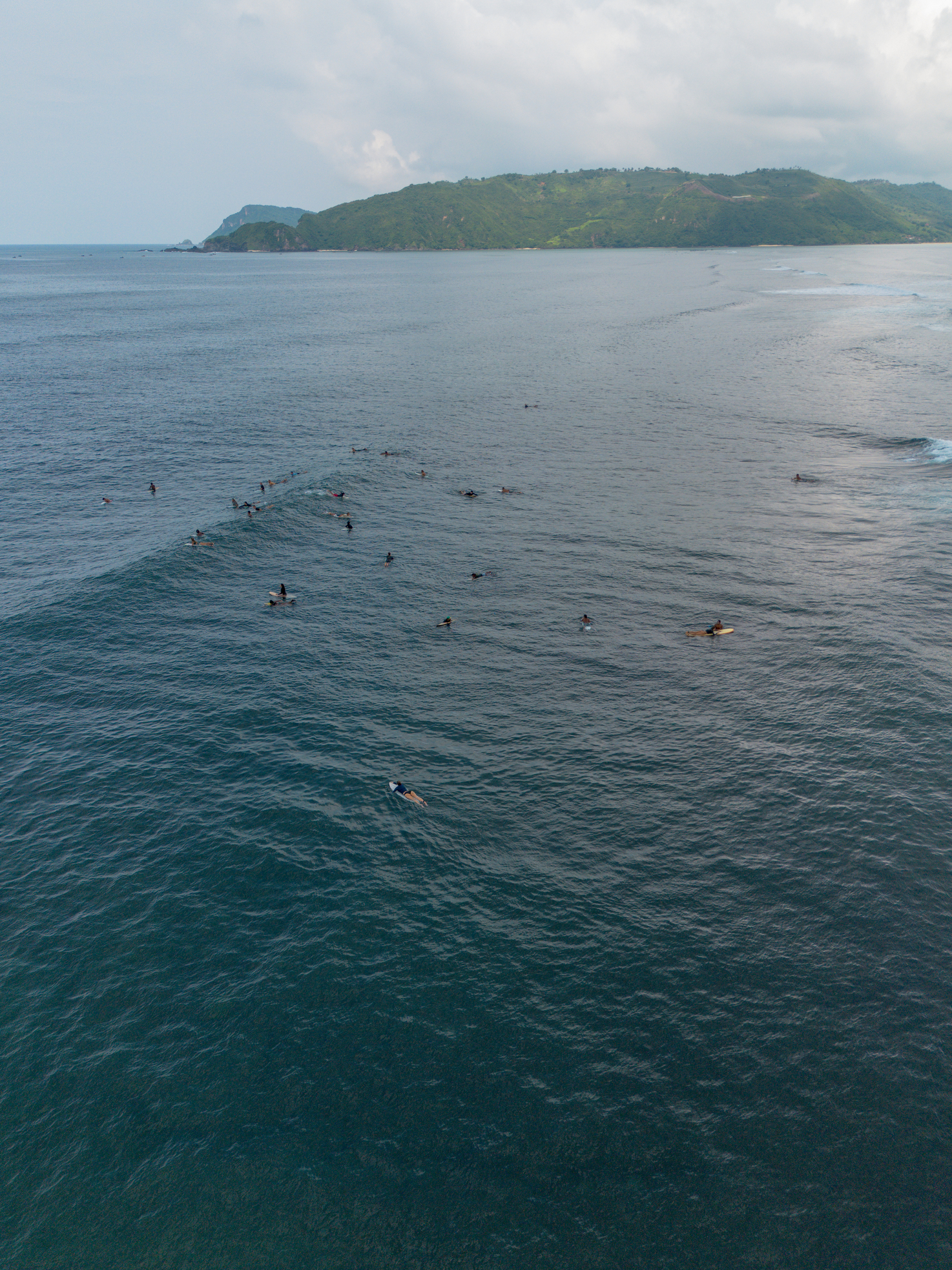 Surf