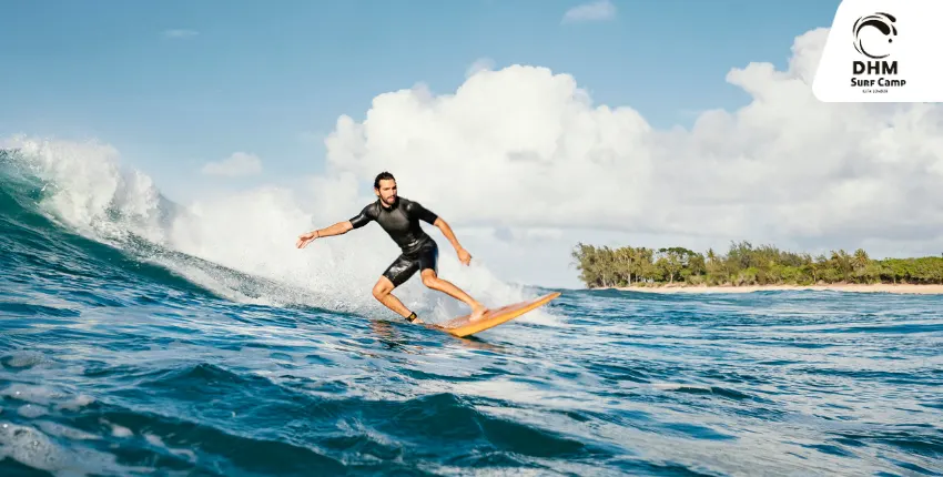 DHM Surfcamp Fuerteventura : Your Local Surf Home in Corralejo