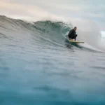 Recent Post